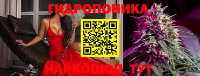 крисы Ливны