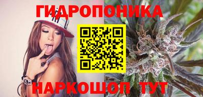 крисы Ливны